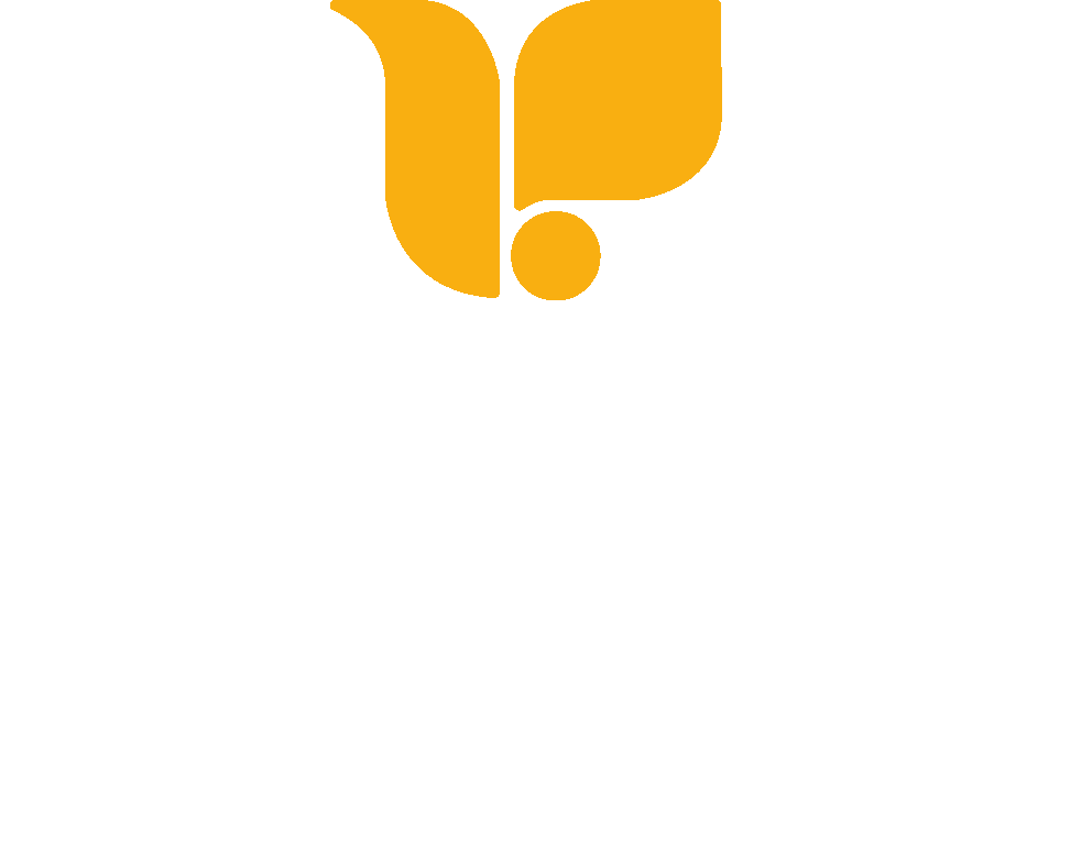 Grup şirketi